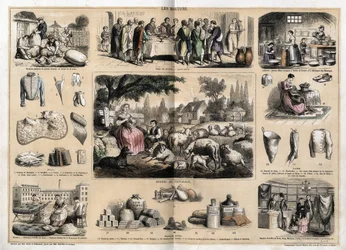 Description of the various uses and products of sheep: sheepcutting, paschal lamb served as a traditional dish in Easter, young dairy women making butter and cheeses; tapestry and wool products, cups, slippers, wool stockings, sold in fabric and fabric sho