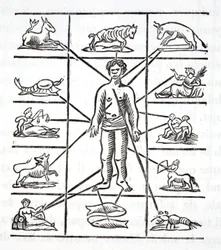 Designation of parts that each sign governs