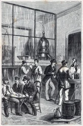 Distillator shop in Paris in the 19th century - Engraving in Sciences made available to all - physics and chemistry by Alexis Clerc - End 19th century - Private collection