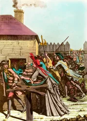 Distribution of the king