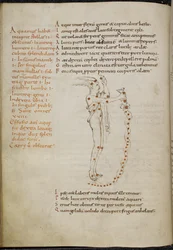 Drawing of the Constellation Aquarius, with the Stars Picked Out as Red Dots, from 