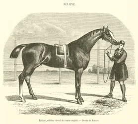 Eclipse, Famous English Racehorse