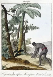 Exhibition of a Madegasse Child Devoted to Death. 1811