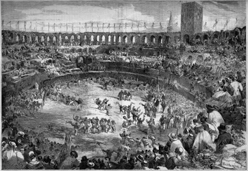 Farandole danced in the arena of Arles (Bouches du Rhone)