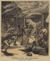 Fire in a Menagerie in Montceau-les-Mines