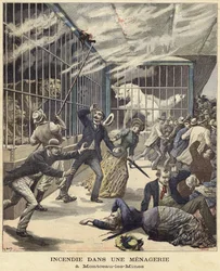 Fire in the zoo at Montceau-les-Mines