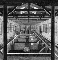 Fish farming: the farmed pools of fry in Huningue, Haut Rhin