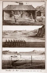 Fishing, Herring and Sardines - 