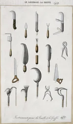 Garden tools for grafting and pruning