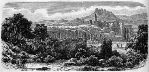 General view of the ruins of the Chartreuse of Laverne (12th century). Var (83)