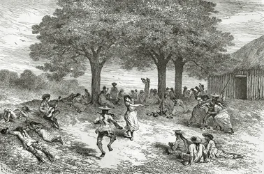 Harvest of Coca, Peru, illustration from Le Tour du Monde magazine, 1877