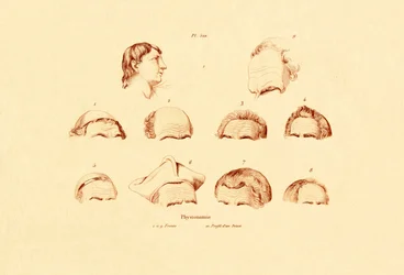 Heads