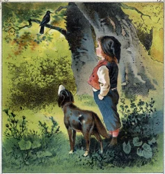 Henri observes a blackbird on a branch in the forest, imagining his life if he were a bird. From 