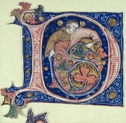 Historiated initial D depicting a man holding a vine