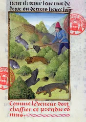 Hunting rabbits with dogs and nets, from the Livre de la Chasse by Gaston Phebus
