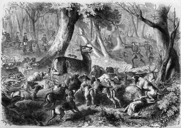 Hunting scene