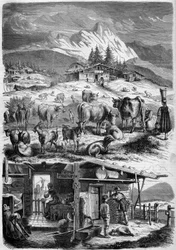 Inhabitants and dairy industry of the Alps