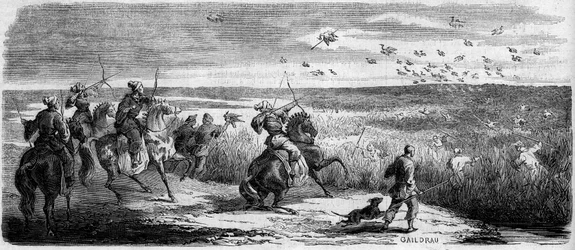 Japanese scenes: bird hunting