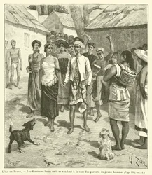 The Island of Timor (engraving)