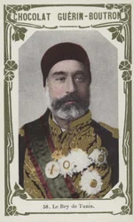 The Bey of Tunis