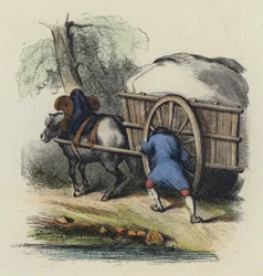 The Cart Stuck in the Mud
