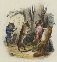 The Fox with the Cut Tail