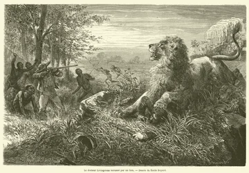 Dr. Livingstone Overpowered by a Lion