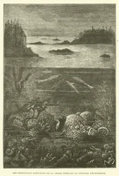 The Principal Inhabitants of the Earth During the Devonian Period