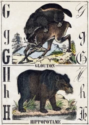 Letter G Glutton; H Hippopotamus. Engraving in 