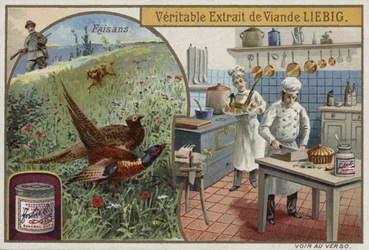 Liebig card featuring pheasants