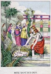 Moses Saved from the Waters - in 
