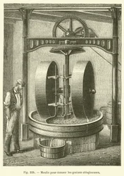 Mill for Crushing Oilseeds