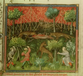 Wolf hunt with the aid of nets, from the Livre de la Chasse by Gaston Phebus de Foix (1331-91)