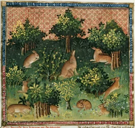 Hares in a Wood, from the Livre de la Chasse