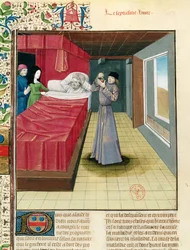 A Doctor Performing a Urine Analysis, from Livre des Proprietes des Choses by Barthelemy l