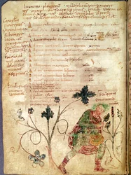 Aesculapius discovering betony, from a manuscript by Antonius Musa