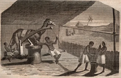 Oil mill used on the west coast of Africa