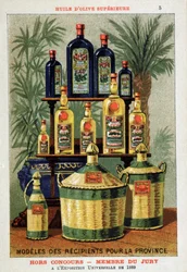 Olive Oil Containers for Paris and the Province Presented at the World Exposition of 1889