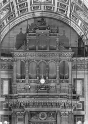 Organ