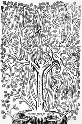 Organigram showing the organization of government in France in the 16th century, 1579