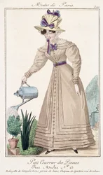 Paris fashion plate