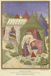 Pavilions and Tents