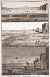 Waterbird Fishing - The Great Encyclopedie, ou Dictionnaire Raisonne des Sciences, des Arts et des Metiers (Encyclopedia or Dictionary of the Sciences, Arts and Professions) by Denis Diderot (1713-1784) and Jean d