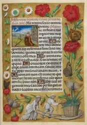 Penitential Psalms. Foot of folio: woman pushing a wheelbarrow bearing a large carnation growing out of a pot