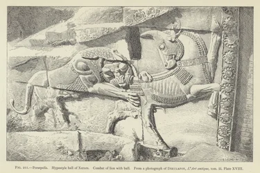 Persepolis, Hypostyle Hall of Xerxes, combat of lion with bull