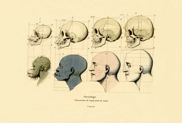 Phrenology, 1833-39