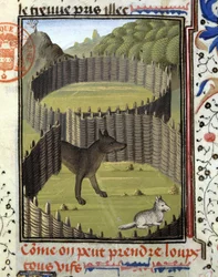 Wolf Trap - in 