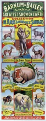 Poster Advertising the Collection of Rare Wild Animals for the Barnum and Bailey Circus