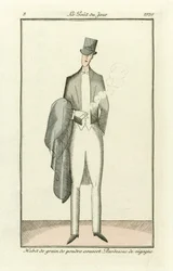 Powdered Grain Habit Covered. Vicuna Overcoat from Costumes Parisiens, published 1912