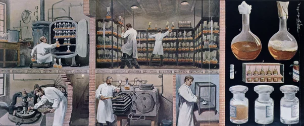 Preparing serums to combat tuberculosis, from Les Animaux, c.1900